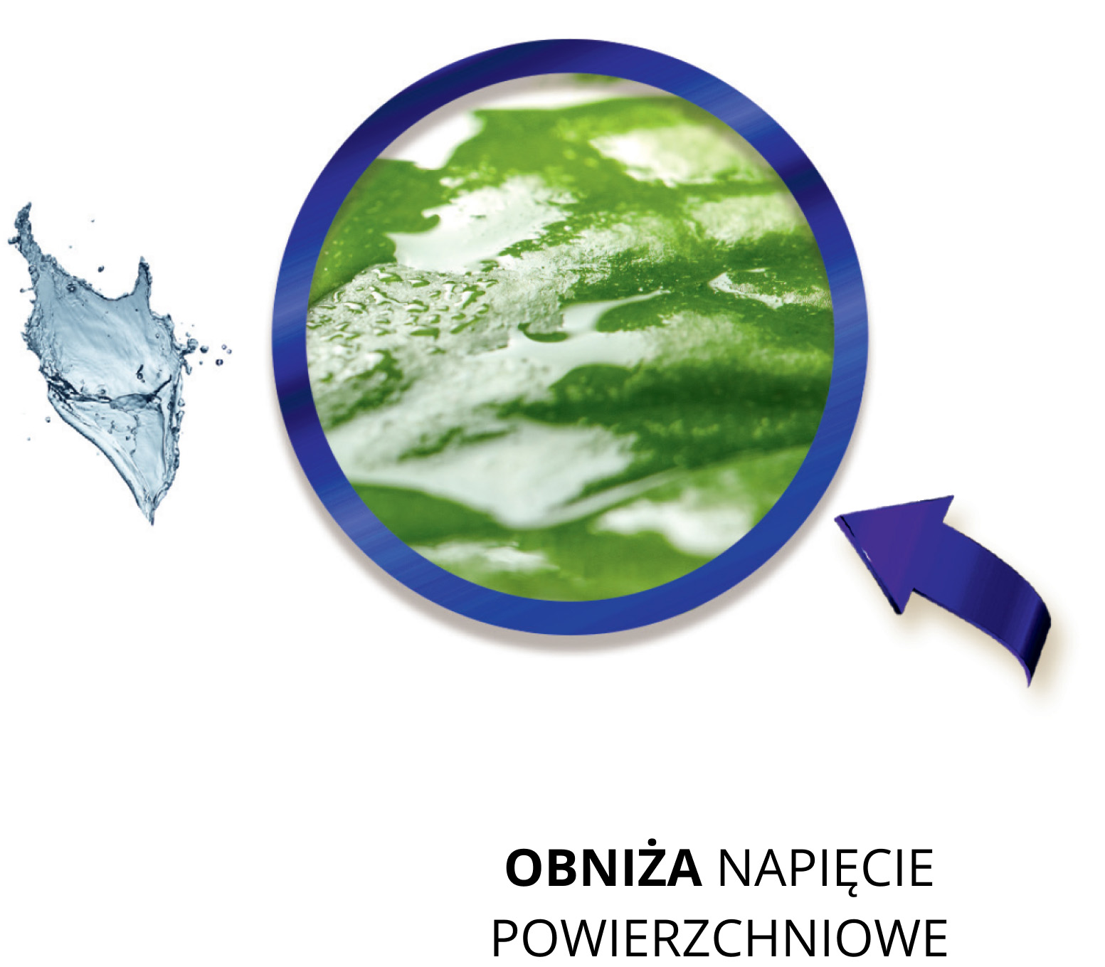 obniża napięcie powierzchniowe